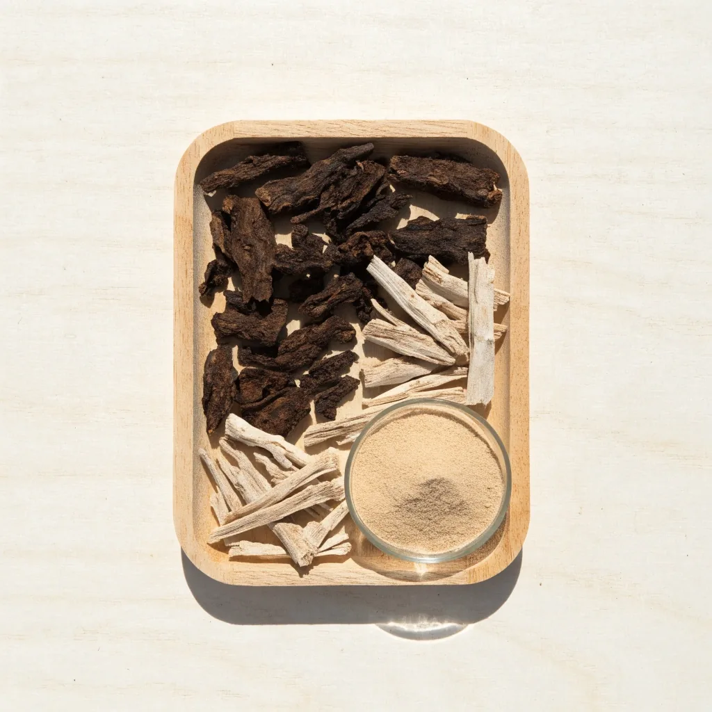 Dried Tongkat Ali root slices and Pasak Bumi pieces in a shallow wooden tray beside a dish of extract powder